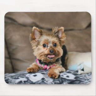 Tiny dynamo mouse mat