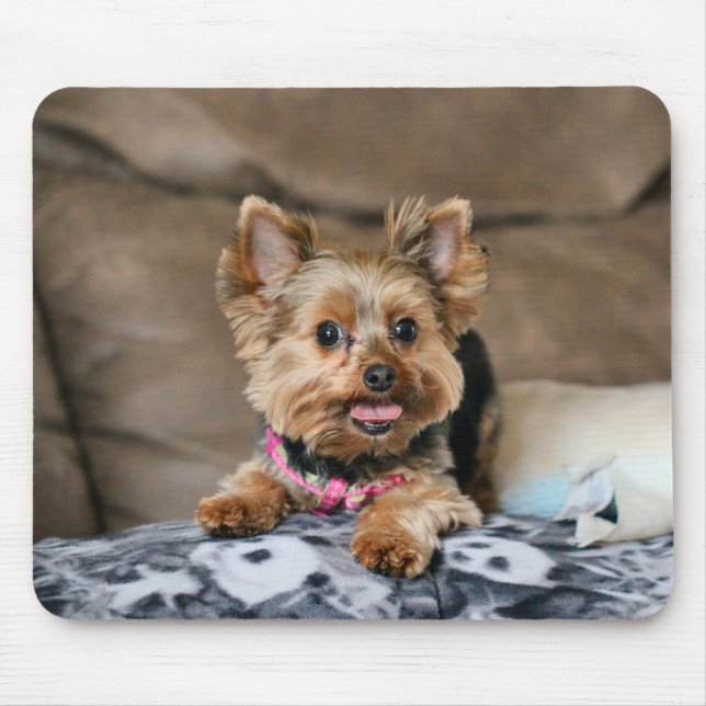 Tiny dynamo mouse mat (Front)