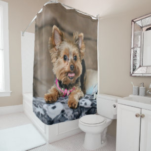 Tiny dynamo shower curtain