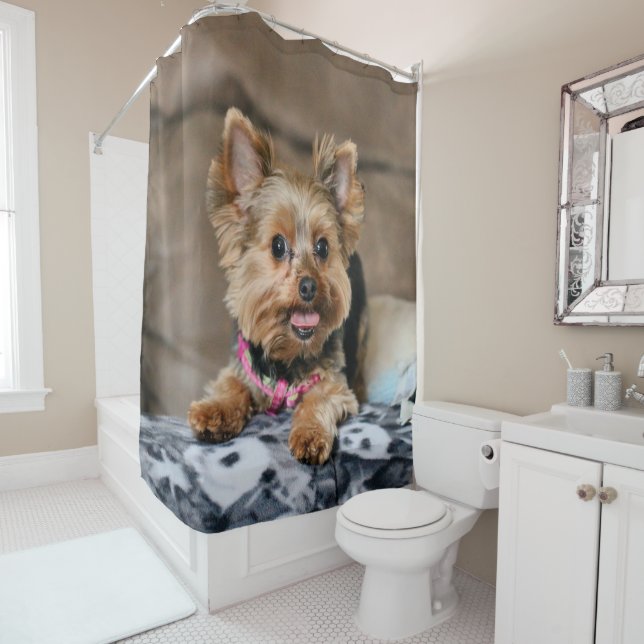 Tiny dynamo shower curtain (In Situ)