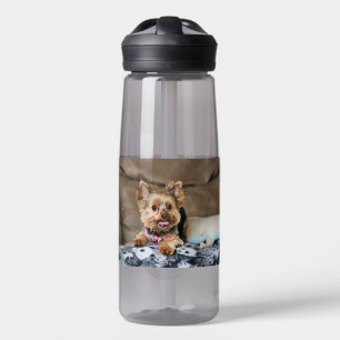 Tiny dynamo water bottle