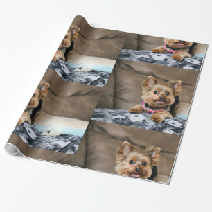 Tiny Dynamo Wrapping Paper