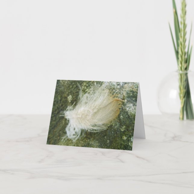 Tiny Feather Note Card (Front)
