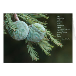 Tiny Footprints Poem Card