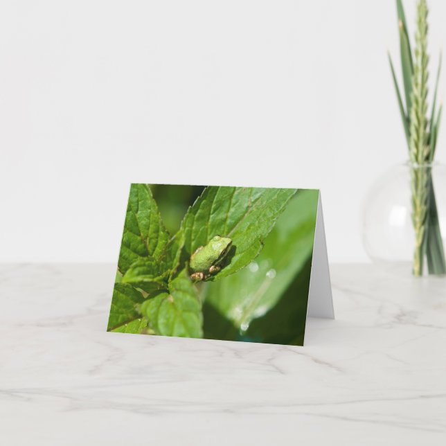 Tiny Frog Note Card (glossy) (Front)