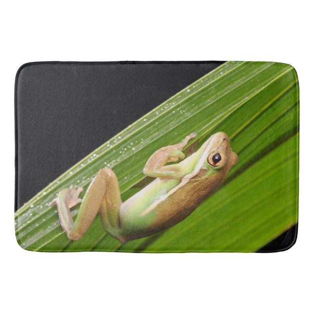 Tiny Frog On A Leaf Bath Mat (Front)