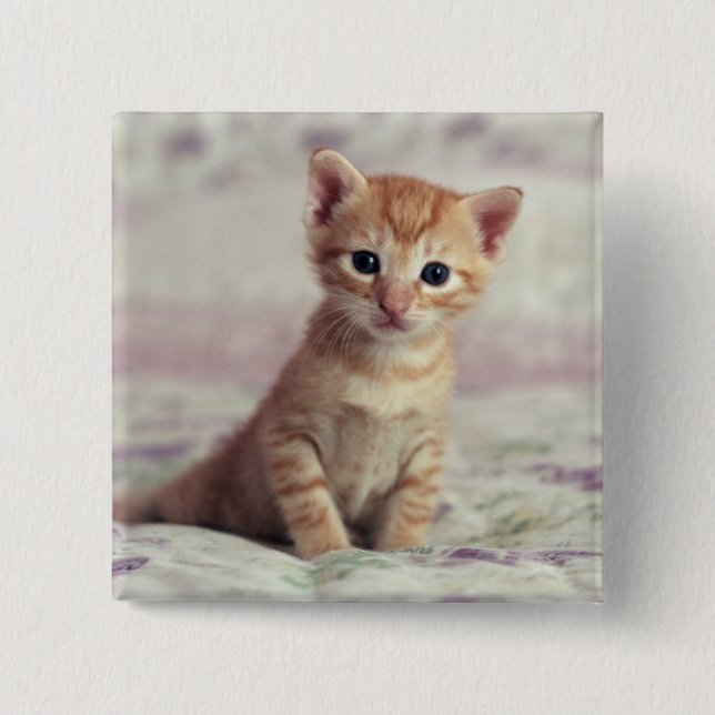 Tiny Ginger Kitten 15 Cm Square Badge (Front)