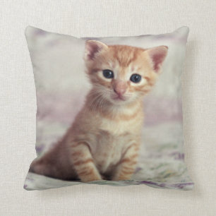 Tiny Ginger Kitten Cushion