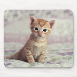 Tiny Ginger Kitten Mouse Mat