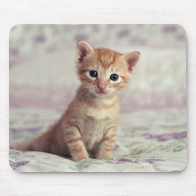 Tiny Ginger Kitten Mouse Mat (Front)