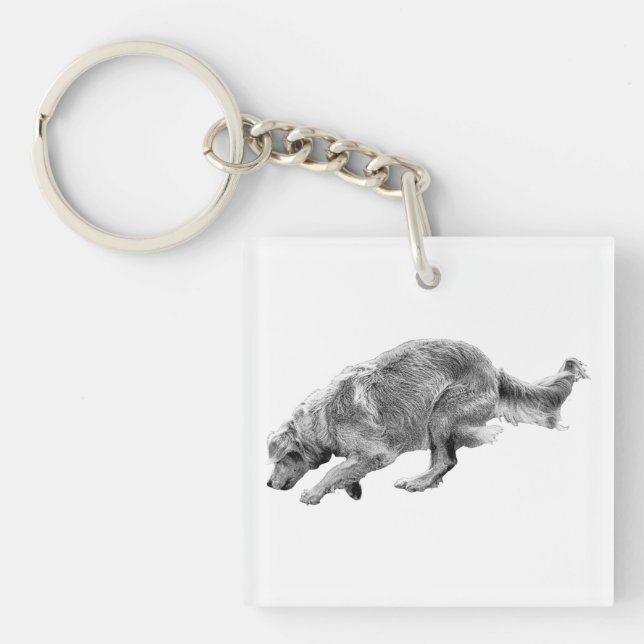 Tiny Golden in Motion Key Ring (Front)