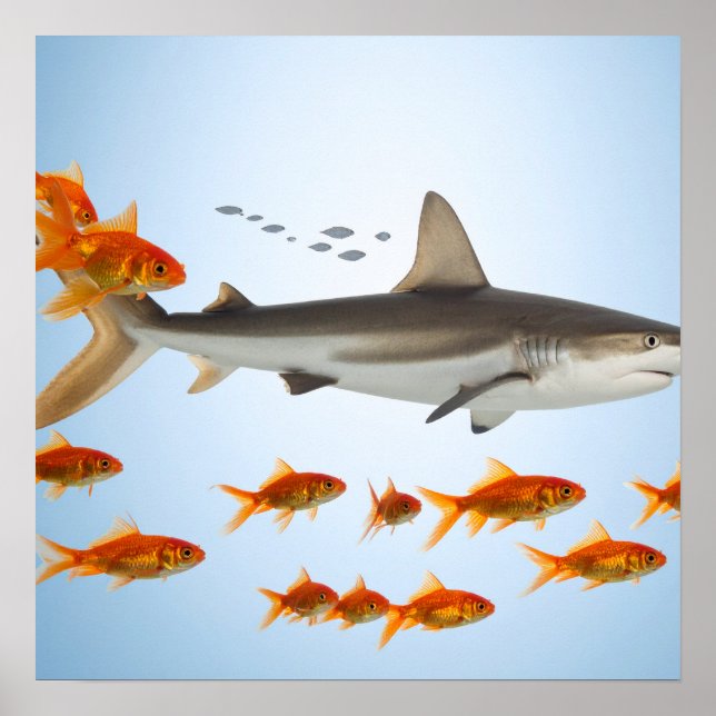 “Tiny Goldfish, Big Shark Energy” Poster (Front)