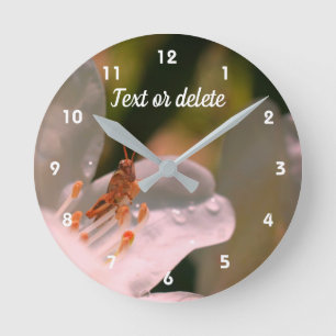 Tiny Grasshopper On Azalea Flower Personalised   Round Clock