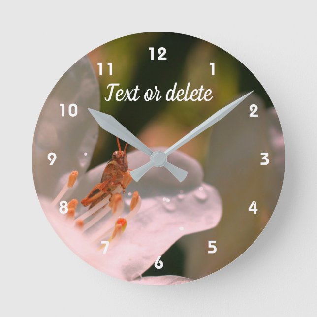 Tiny Grasshopper On Azalea Flower Personalised   Round Clock (Front)