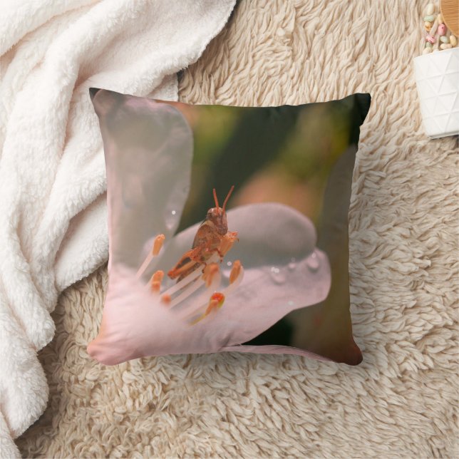 Tiny Grasshopper On White Azalea Flower   Cushion (Blanket)