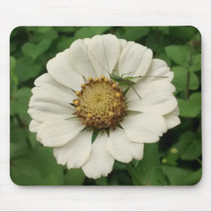 Tiny Grasshopper on White Flower Mouse Mat
