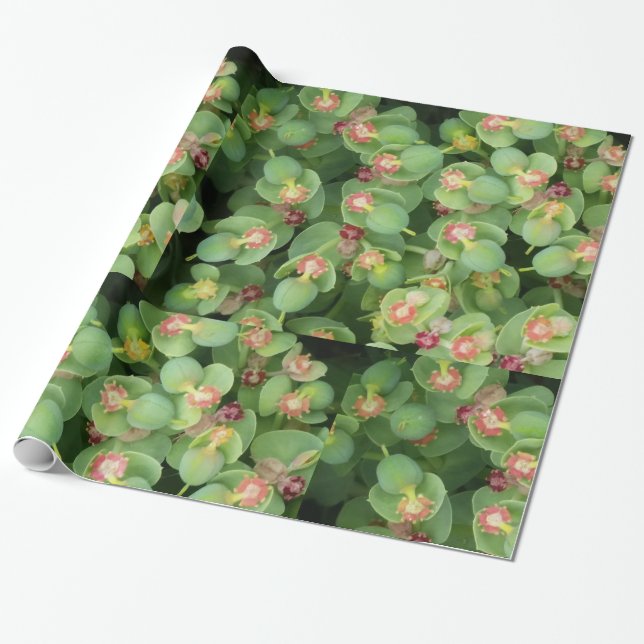 Tiny Green Flora Wrapping Paper (Unrolled)