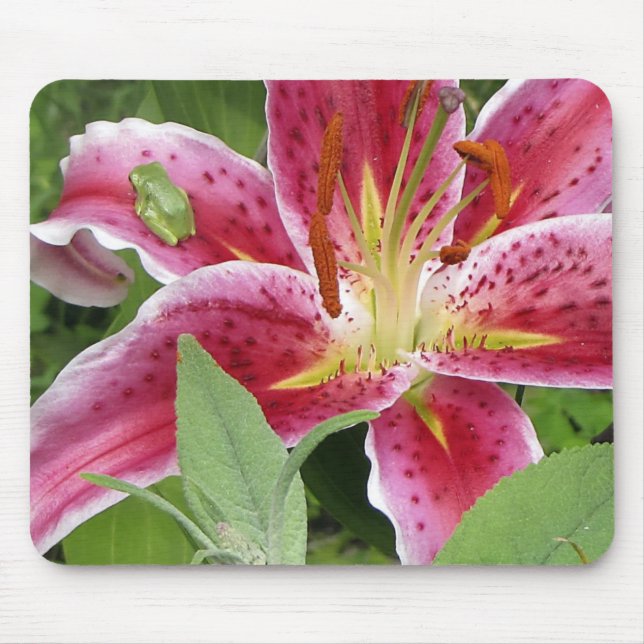 Tiny Green Frog on Stargazer Lily Mouse Mat (Front)