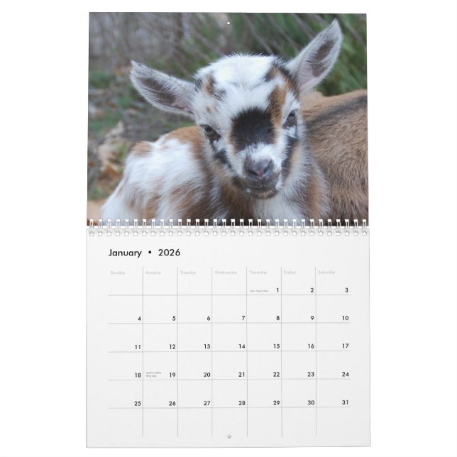 Tiny Hill Farm Extreme Cuteness Calendar (Jan 2026)