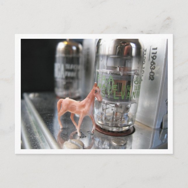 Tiny horse in the Vintage McIntosh Postcard (Front)