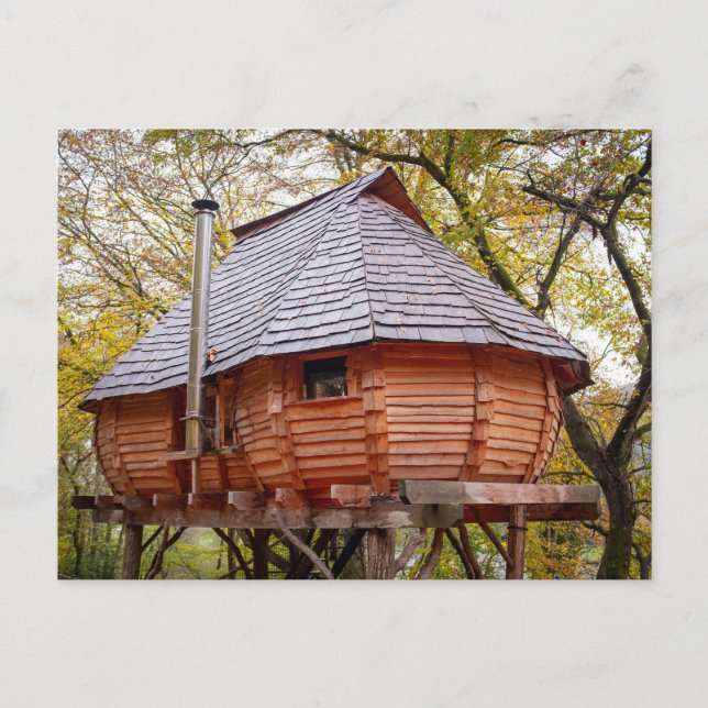 TINY HOUSE RUSTIC CABIN POSTCARDS (Front)
