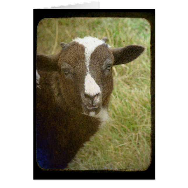 Tiny is Growing Up (Front)