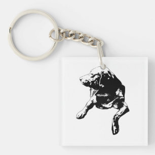 Tiny Keeper Tag, Lab Key Ring