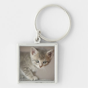 Tiny Kitten Key Ring