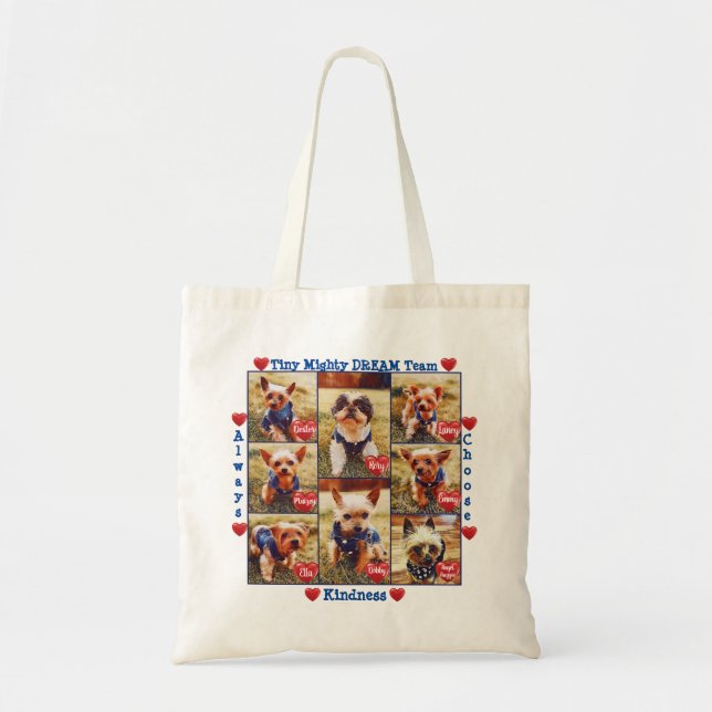 Tiny Mighty DREAM Team Tote Bag (Front)