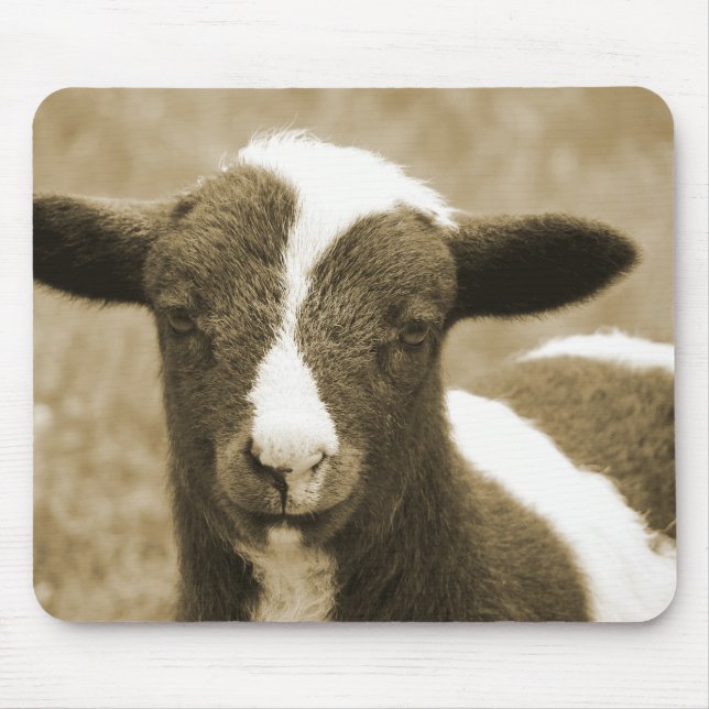 Tiny Mouse Mat (Front)