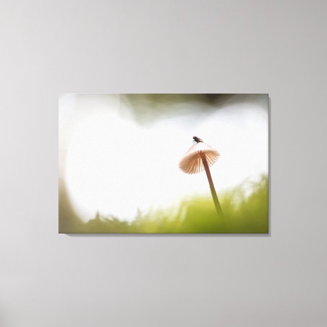 Tiny Mushroom Nature Photo Canvas Print (Front)