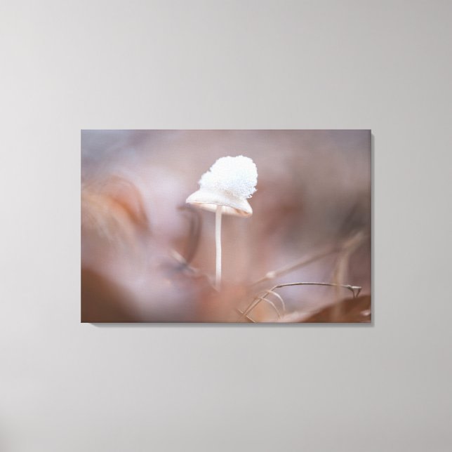 Tiny Mushroom Nature Photo Canvas Print (Front)