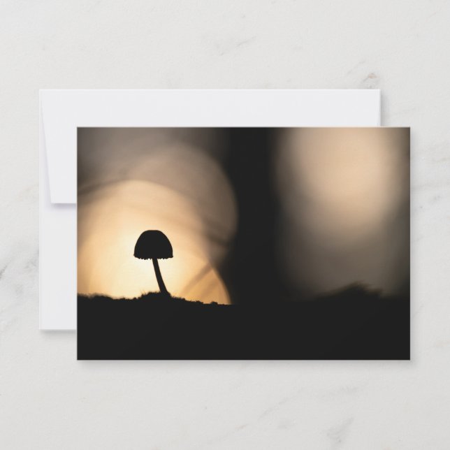 Tiny Mushroom Nature Photo Card (Front)