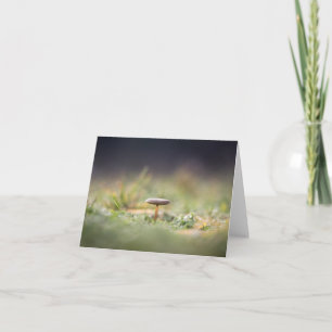 Tiny Mushroom Nature Photo Card