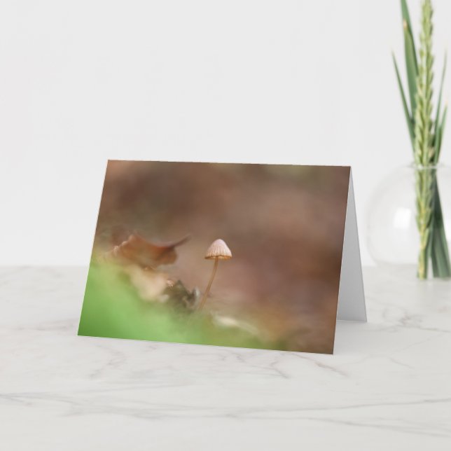 Tiny Mushroom Nature Photo Card (Front)
