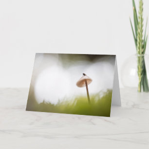Tiny Mushroom Nature Photo Card