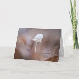 Tiny Mushroom Nature Photo Card