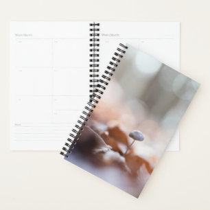 Tiny Mushroom Nature Photo Card Planner