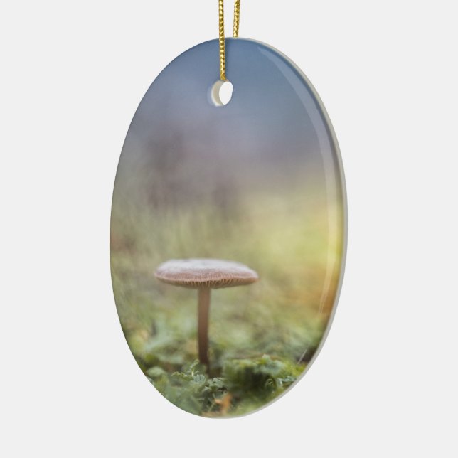Tiny Mushroom Nature Photo Ceramic Tree Decoration (Left)