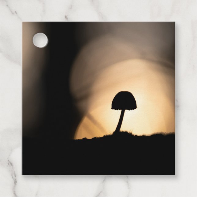 Tiny Mushroom Nature Photo Favour Tags (Front)