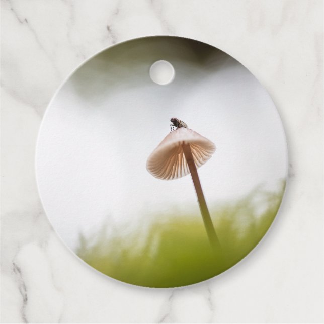 Tiny Mushroom Nature Photo Favour Tags (Front)