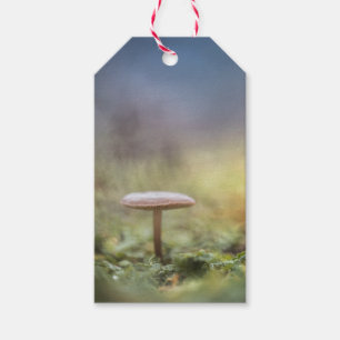 Tiny Mushroom Nature Photo Gift Tags