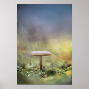 Tiny Mushroom Nature Photo Poster
