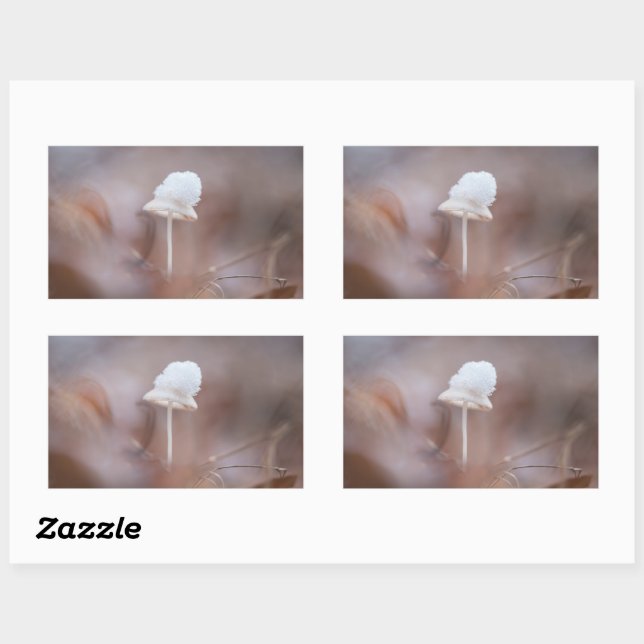 Tiny Mushroom Nature Photo Rectangular Sticker (Sheet)