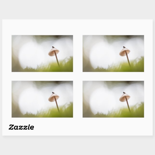 Tiny Mushroom Nature Photo Rectangular Sticker (Sheet)