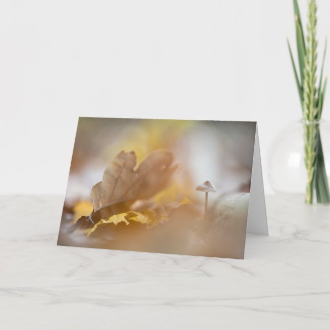 Tiny Mushroom Nature Photograph Card (Front)