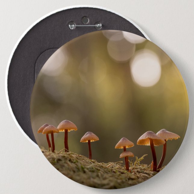 Tiny Mushrooms Nature Photo 6 Cm Round Badge (Front & Back)
