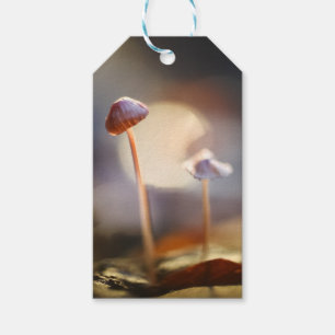 Tiny Mushrooms Nature Photo Gift Tags
