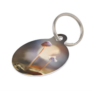Tiny Mushrooms Nature Photo Pet Tag