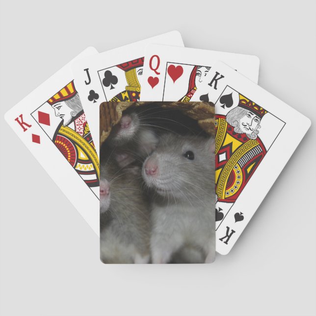 Tiny Noses Playing Cards (Back)